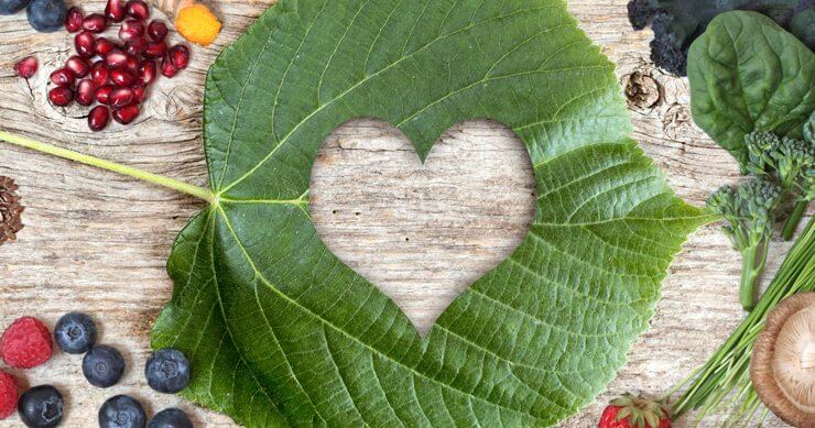 plant_calcium_blog image of leaf and fruit